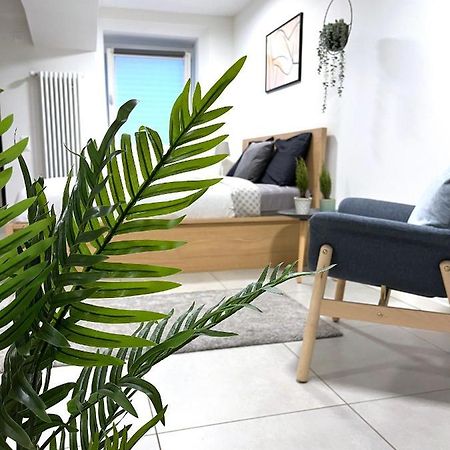 The Hidden Studio; Comfy & Close To The Lake Lugano Extérieur photo